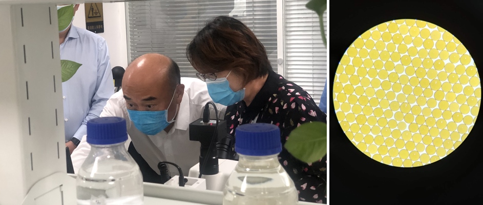 陕西省省长刘国中、西安市市长李明远一行调研高陵yp街机电子产业园