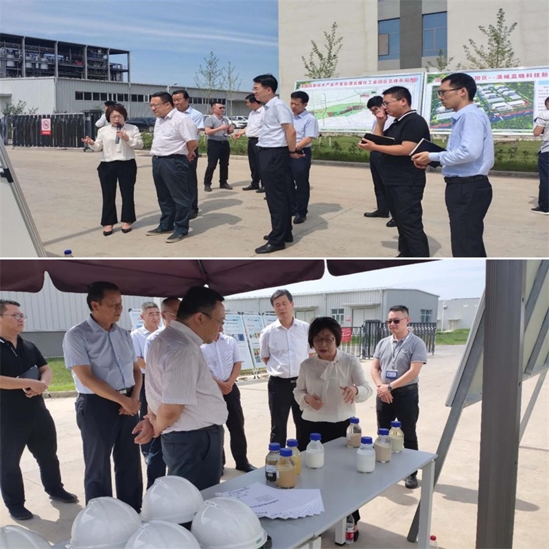 渭南市市长王琳一行调研蒲城yp街机电子新材料产业园项目